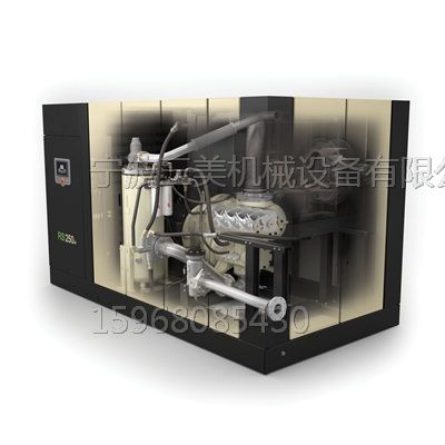 RS250RotaryScrewOilFloodedAirCooledCompressorCutawayraRGBtif.jpg